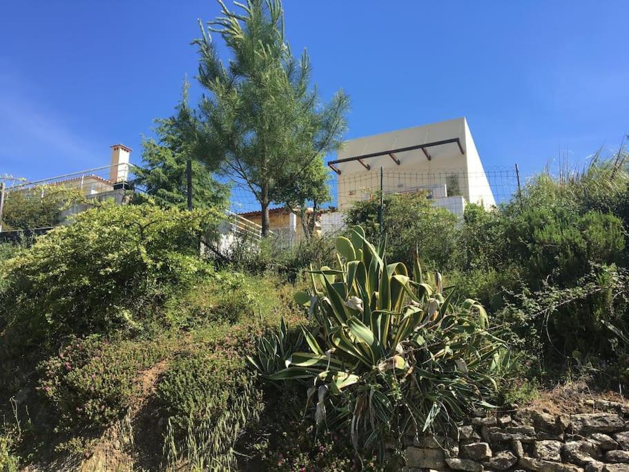 A Casa Da Lua Vila Tomar Exterior foto
